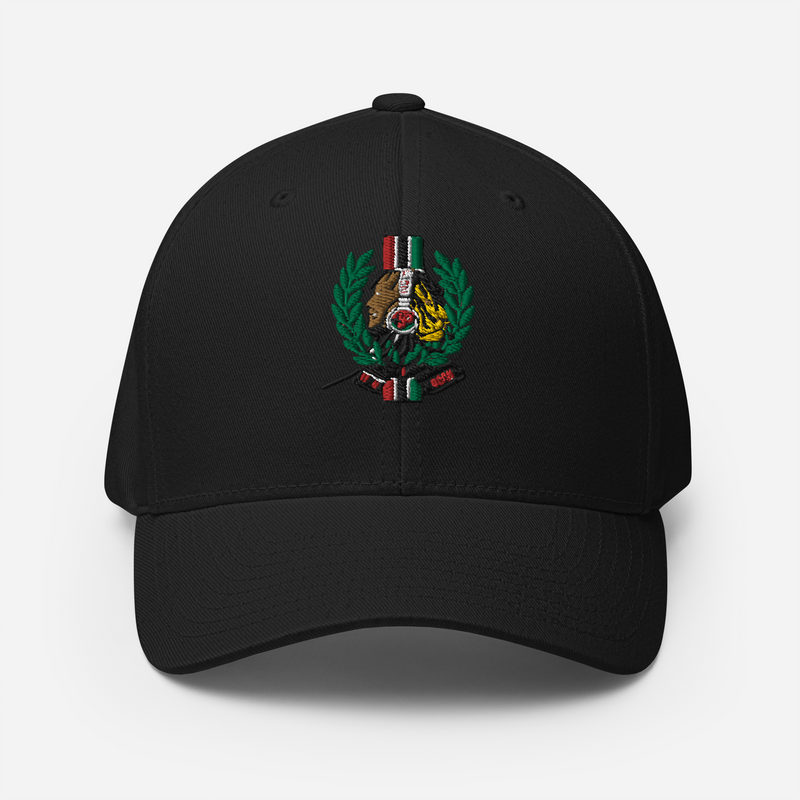 Lion Of Judah God Unisex performance crew neck t-shirt & Lion Of Judah God 2023 design Structured Twill Cap