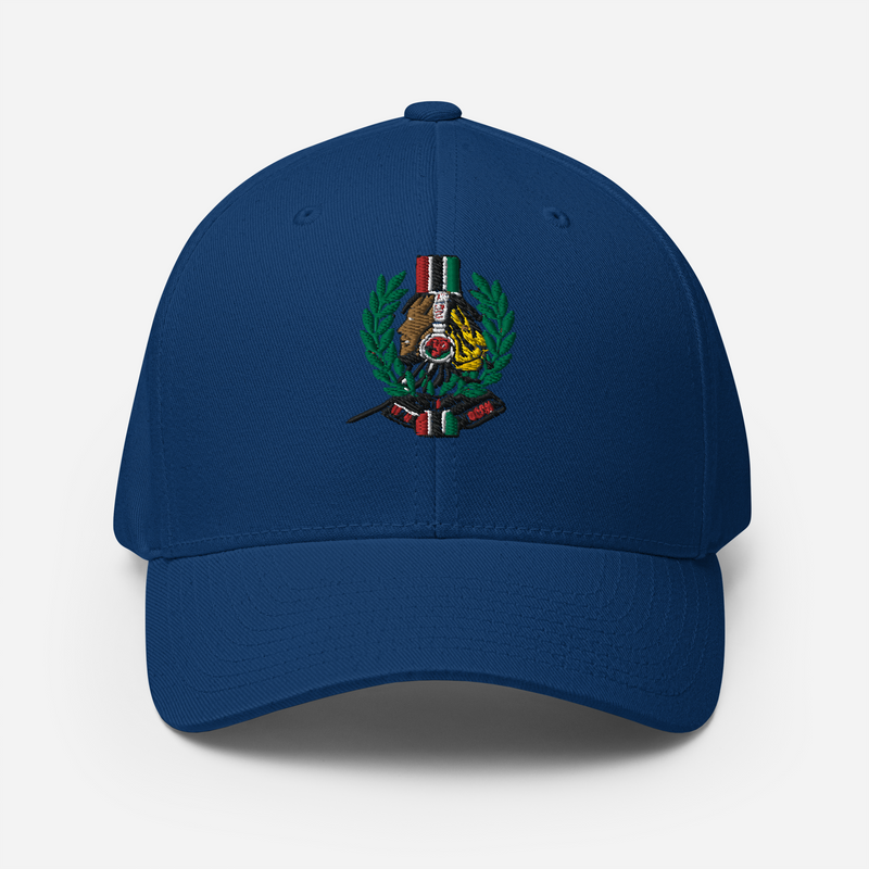 Lion Of Judah God Unisex performance crew neck t-shirt & Lion Of Judah God 2023 design Structured Twill Cap