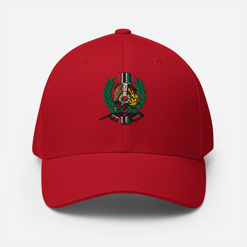 Lion Of Judah God Unisex performance crew neck t-shirt & Lion Of Judah God 2023 design Structured Twill Cap
