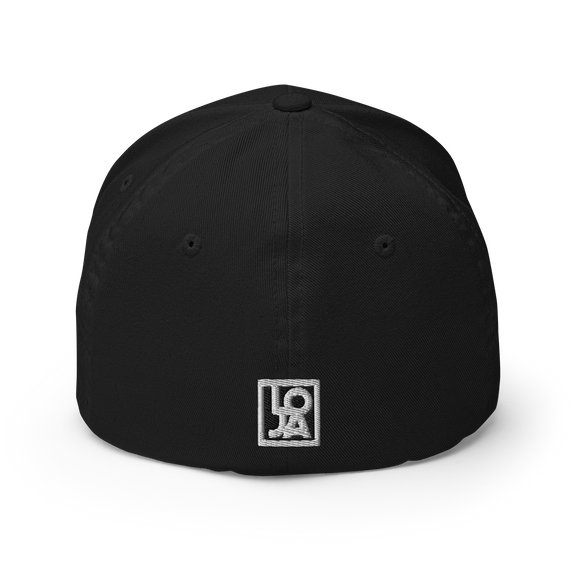 Lion Of Judah Wingz Logo Design Structured Twill Cap & Lion Of Judah Wingz Logo Design Unisex performance crew neck t-shirt Bundle