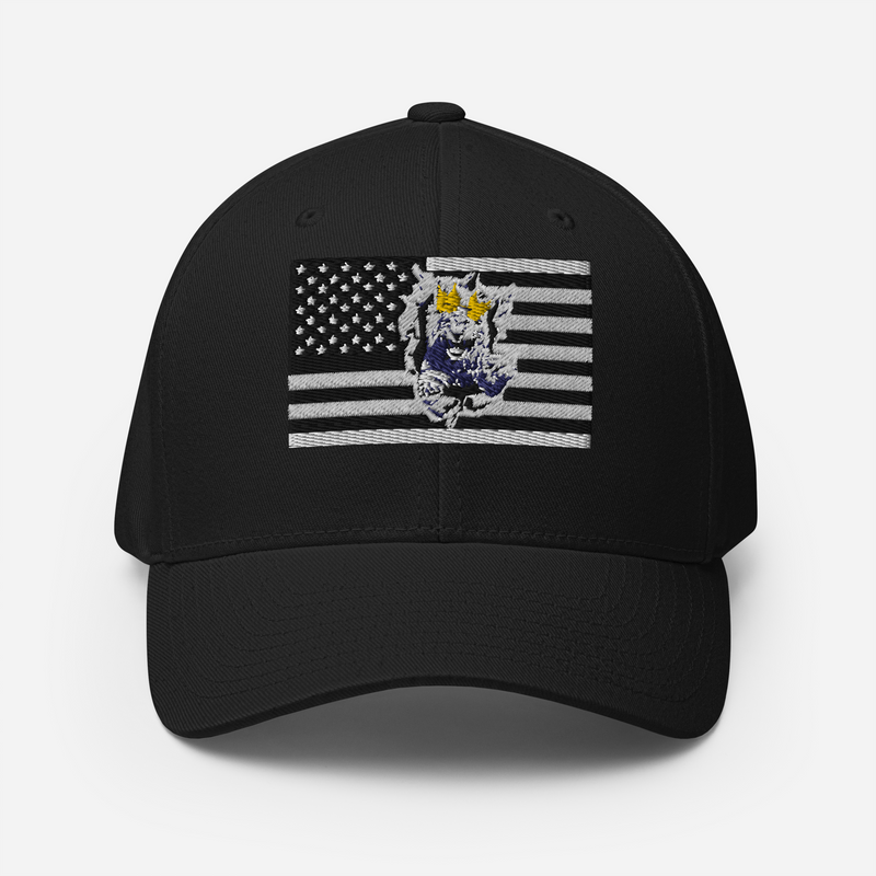 Lion Of Judah Structured Twill Cap
