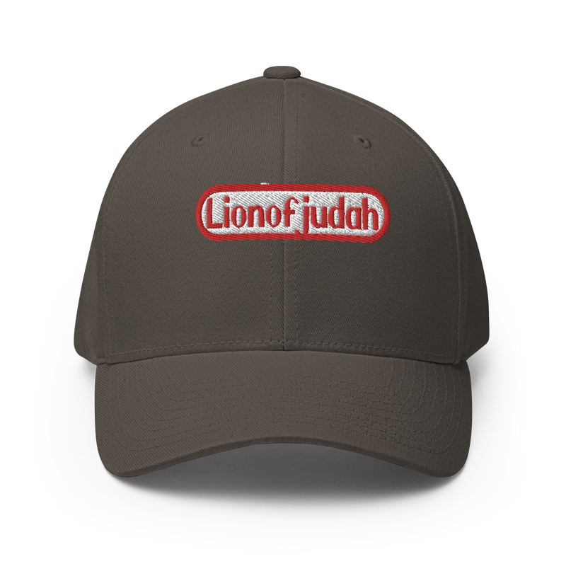 Lion Of Judah Nintendo WordPlay Spinoff Design Structured Twill Cap
