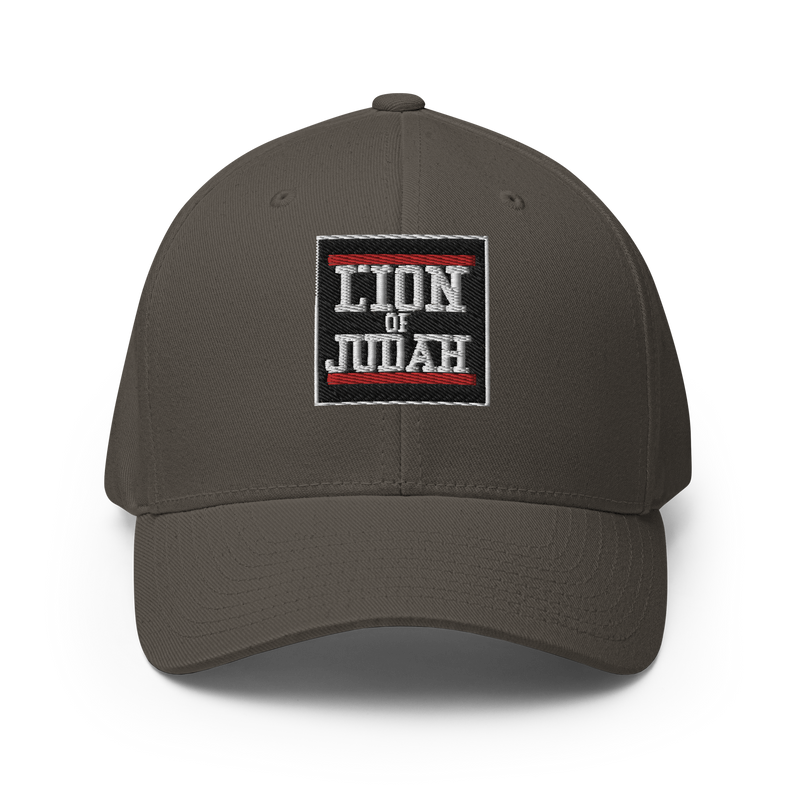 Lion Of Judah Logo Structured Twill Cap