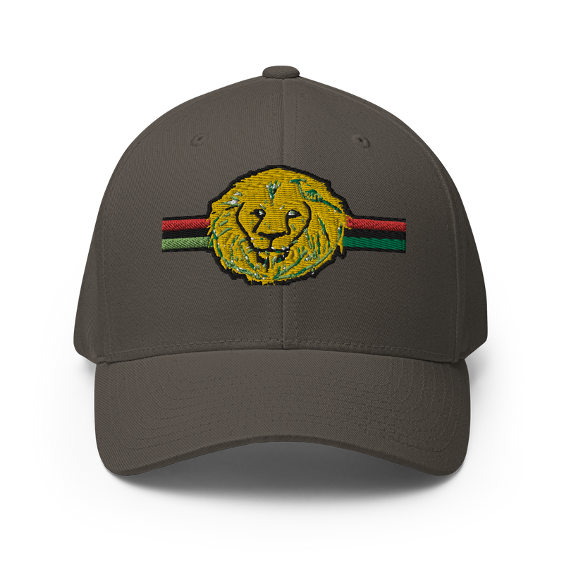 Lion Of The Tribe Of Judah Structured Twill Cap