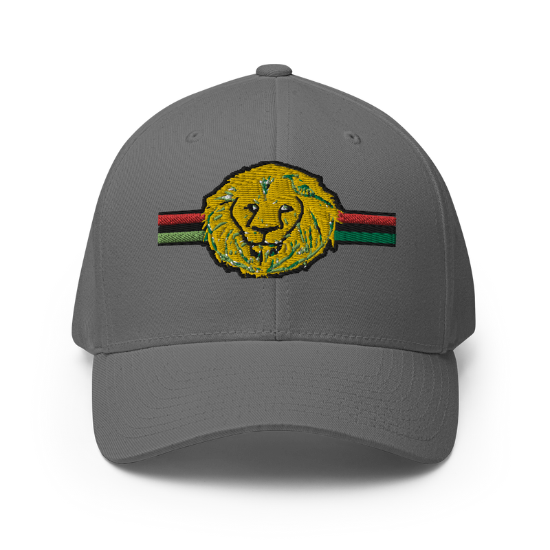 Lion Of The Tribe Of Judah Structured Twill Cap