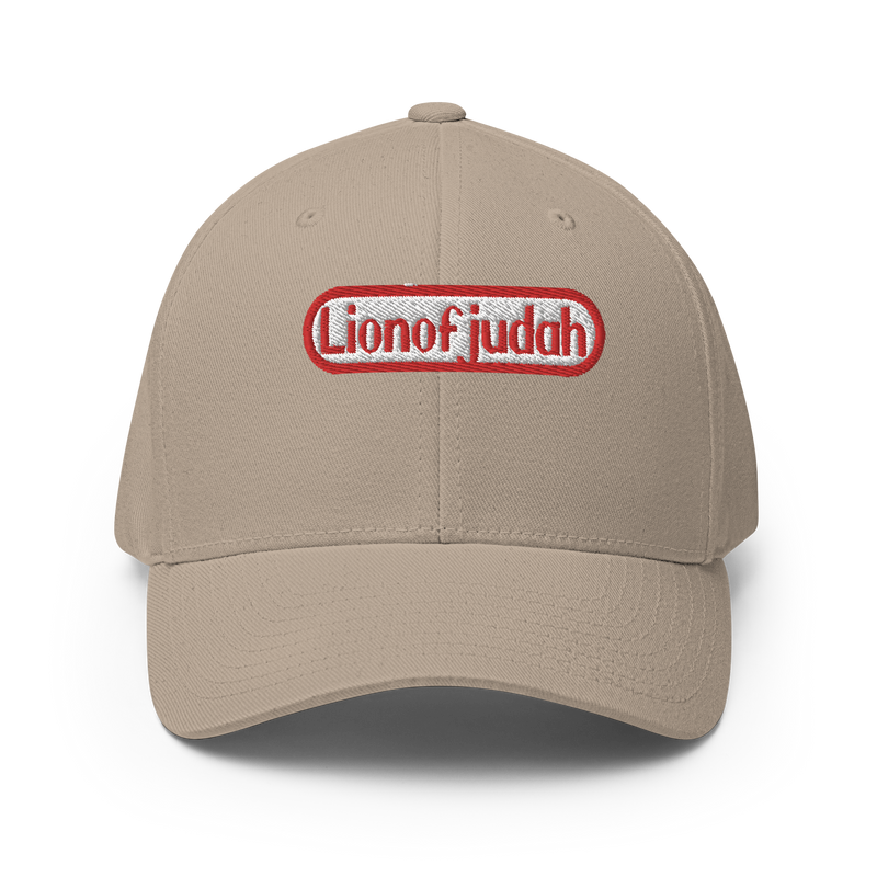 Lion Of Judah Nintendo WordPlay Spinoff Design Structured Twill Cap