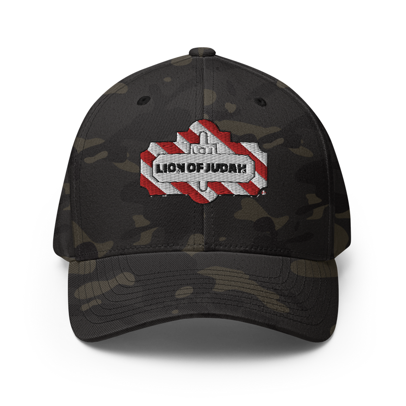 Lion Of Judah T.G.I. Fridays Wordplay Spinoff Structured Twill Cap