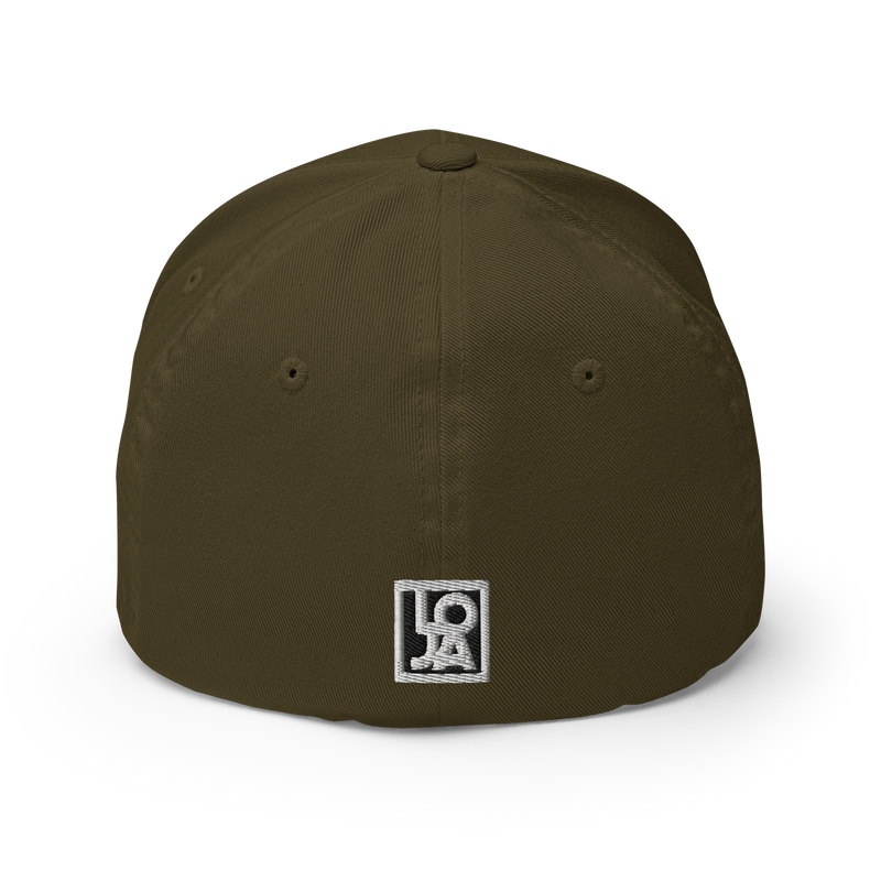 Lion Of Judah Wingz Logo Design Structured Twill Cap