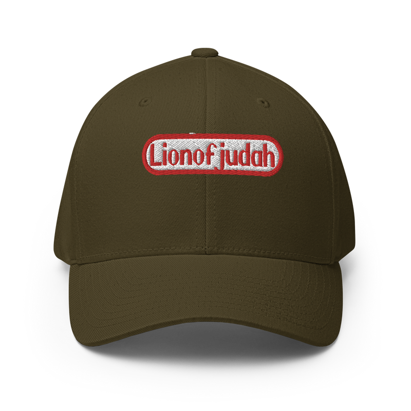 Lion Of Judah Nintendo WordPlay Spinoff Design Structured Twill Cap