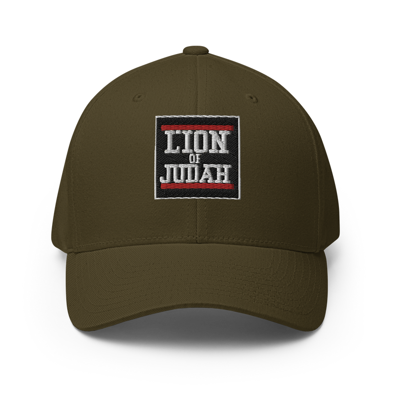 Lion Of Judah Logo Structured Twill Cap