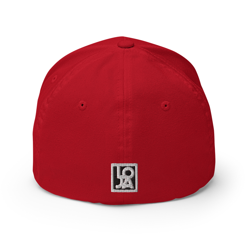 Lion Of Judah Wingz Logo Design Structured Twill Cap