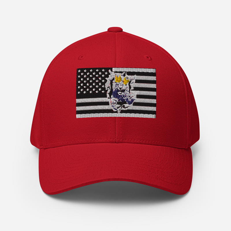 Lion Of Judah Structured Twill Cap