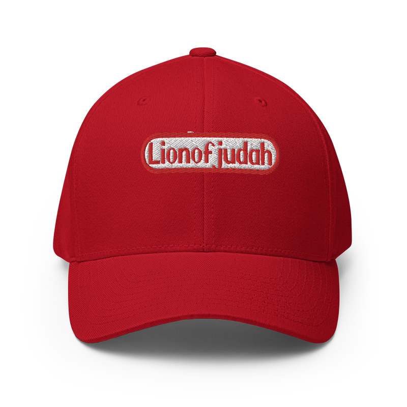 Lion Of Judah Nintendo WordPlay Spinoff Design Structured Twill Cap