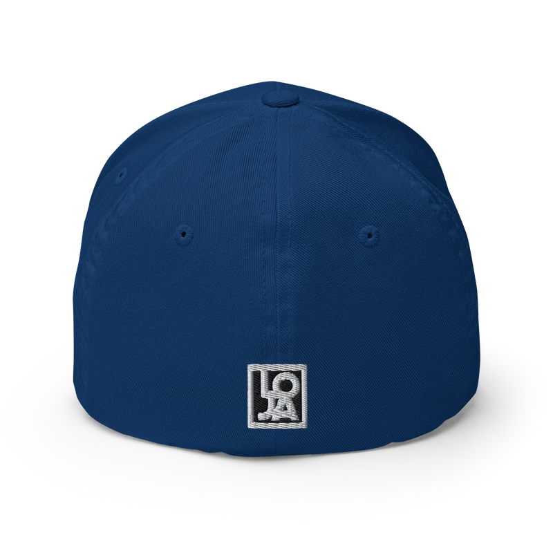 Lion Of Judah Wingz Logo Design Structured Twill Cap
