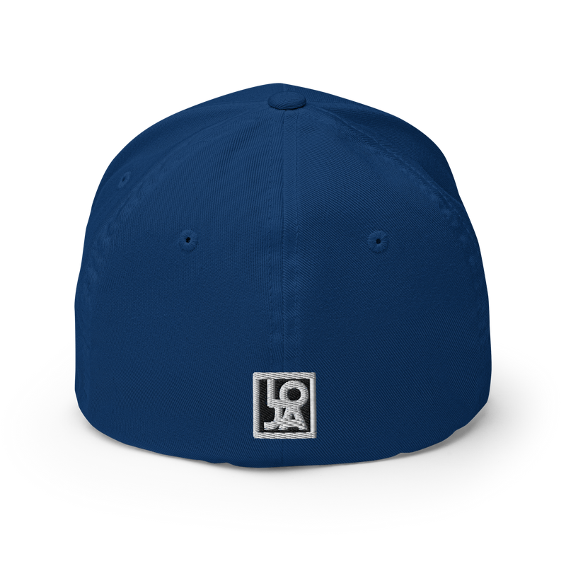 Lion Of Judah Apparel black new logo Structured Twill Cap