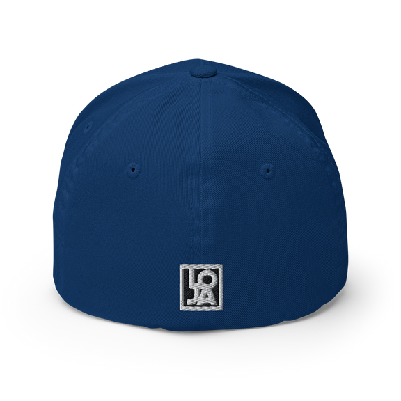 Lion Of Judah Wingz Logo Design Structured Twill Cap & Lion Of Judah Wingz Logo Design Unisex performance crew neck t-shirt Bundle