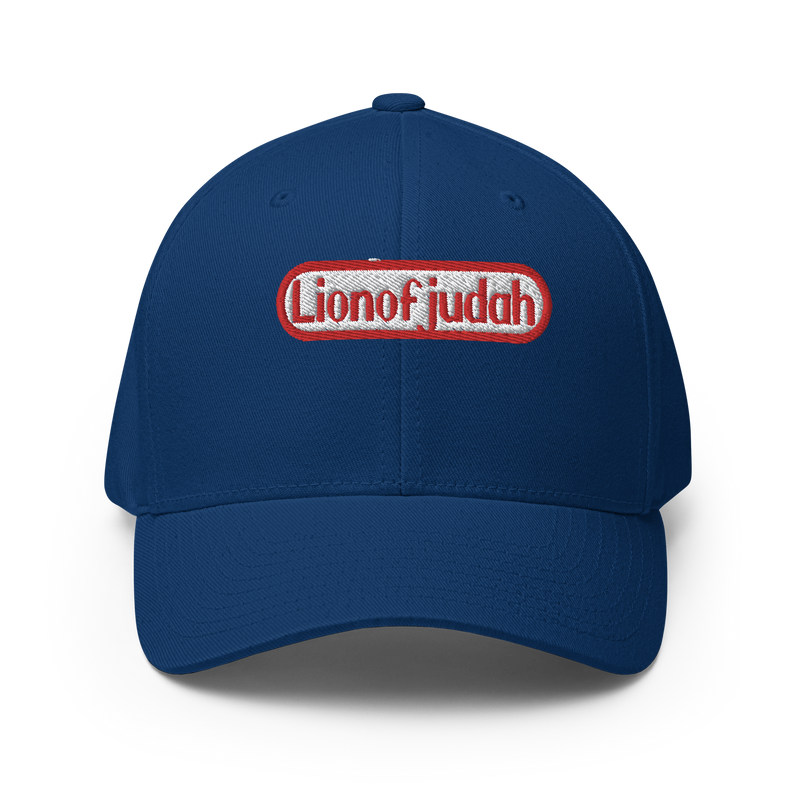 Lion Of Judah Nintendo WordPlay Spinoff Design Structured Twill Cap