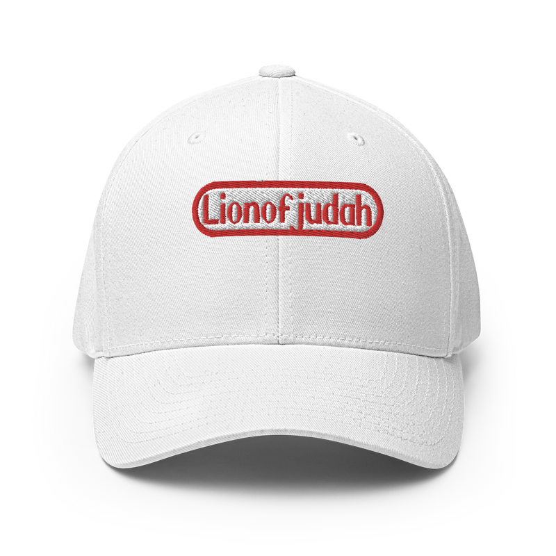 Lion Of Judah Nintendo WordPlay Spinoff Design Structured Twill Cap