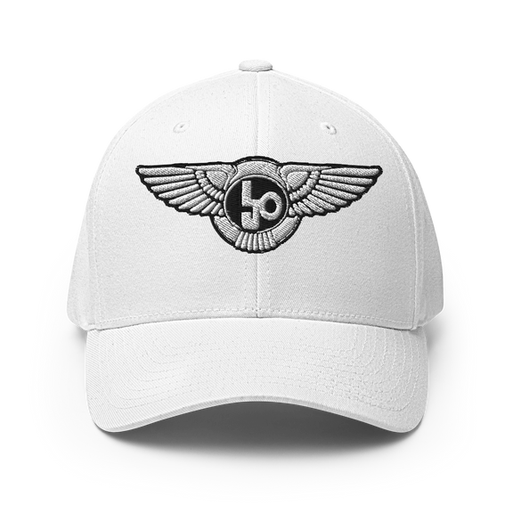 Lion Of Judah Wingz Logo Design Structured Twill Cap & Lion Of Judah Wingz Logo Design Unisex performance crew neck t-shirt Bundle