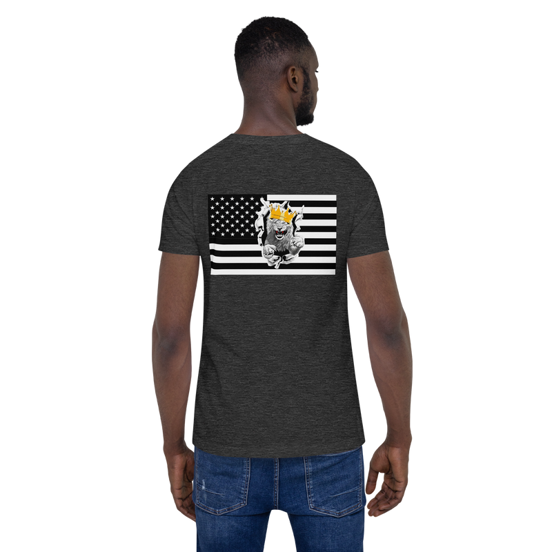 Melanated Lion Of Judah Flag Unisex t-shirt