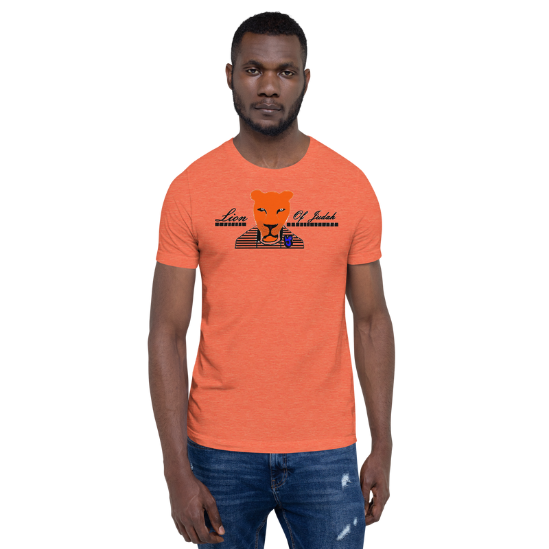Lion Of Judah Design Unisex t-shirt
