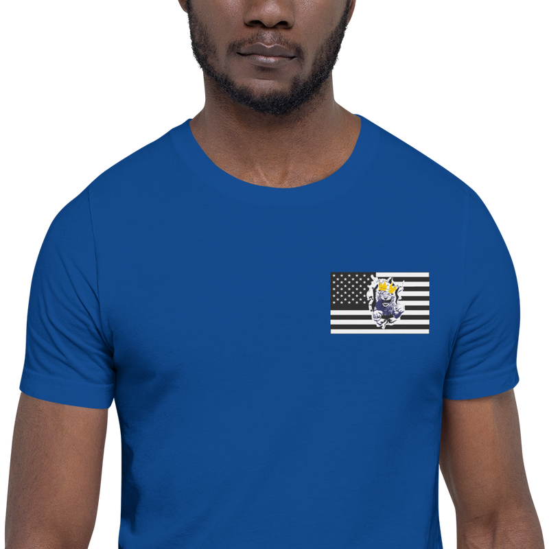 Melanated Lion Of Judah Flag Unisex t-shirt