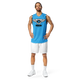 Lion Of Judah Wingz Design Recycled unisex Sky Blue basketball jersey