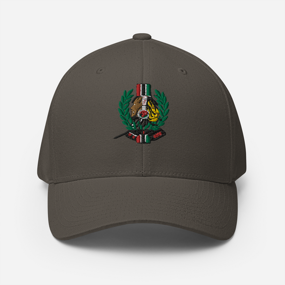 Lion Of Judah God Unisex performance crew neck t-shirt & Lion Of Judah God 2023 design Structured Twill Cap