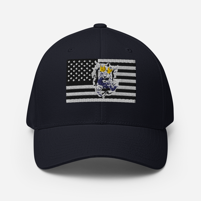 Lion Of Judah Structured Twill Cap