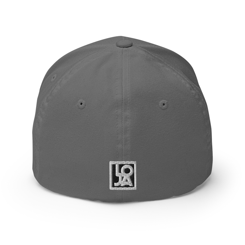 Lion Of Judah Apparel black new logo Structured Twill Cap