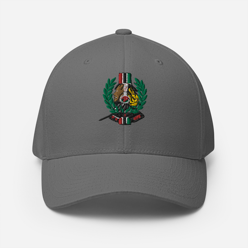 Lion Of Judah God 2023 design Structured Twill Cap