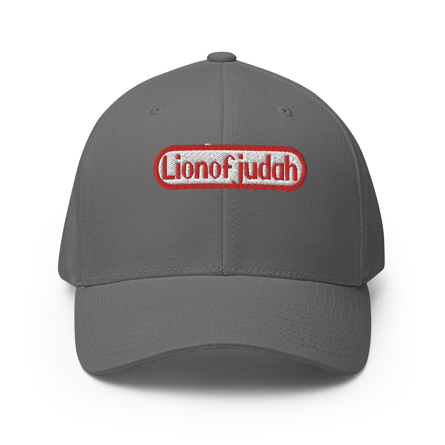 Lion Of Judah Nintendo WordPlay Spinoff Design Structured Twill Cap