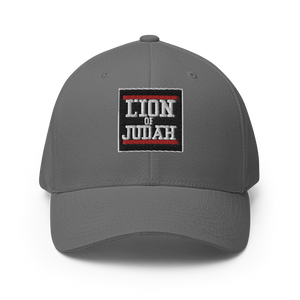 Lion Of Judah Logo Structured Twill Cap