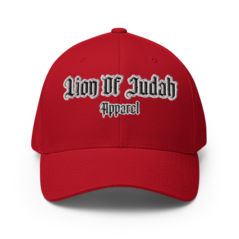 Lion Of Judah Apparel Brand 2023 Structured Twill Cap