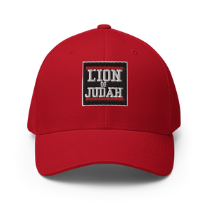 Lion Of Judah Logo Structured Twill Cap