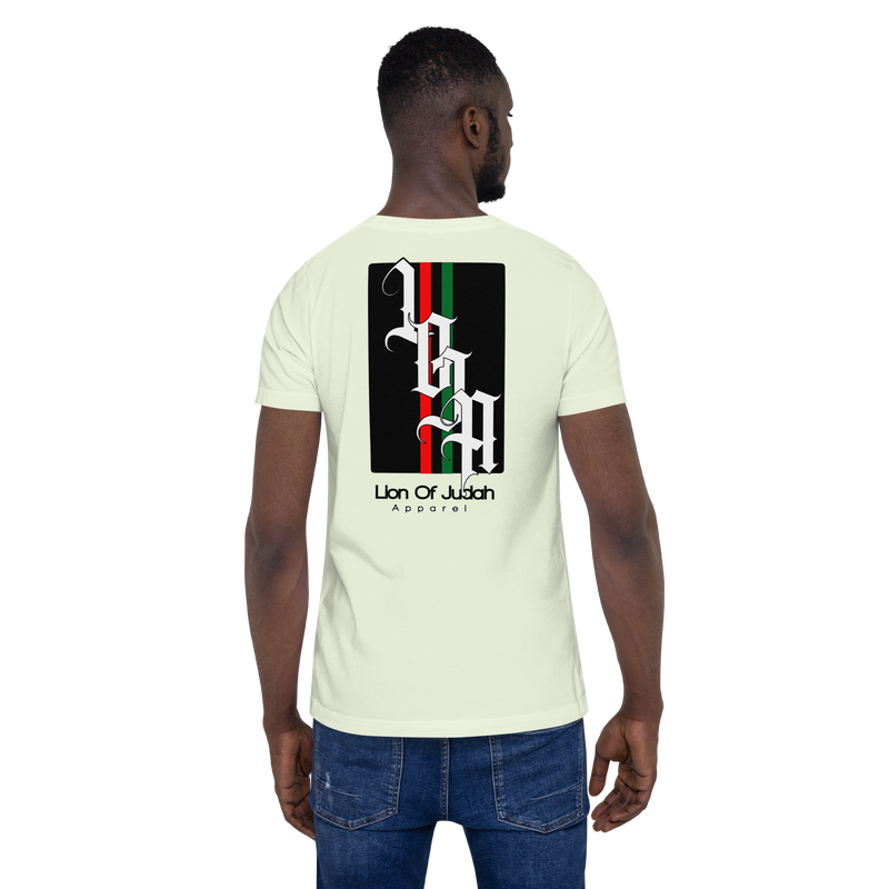 Lion of Judah 2022 Design Unisex t-shirt