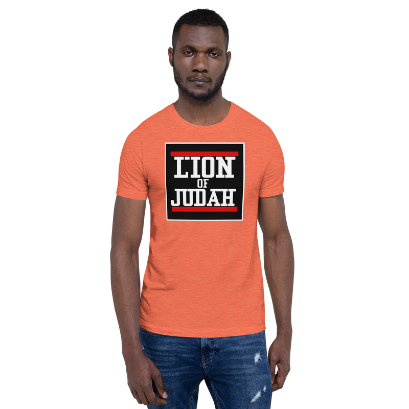 Lion Of Judah Design Unisex t-shirt