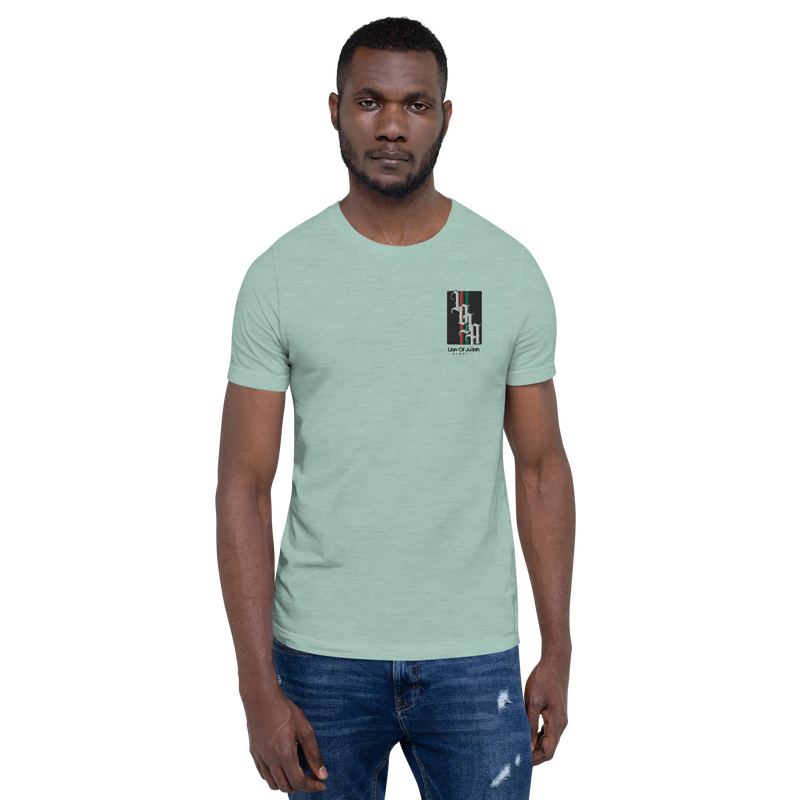 Lion of Judah 2022 Design Unisex t-shirt