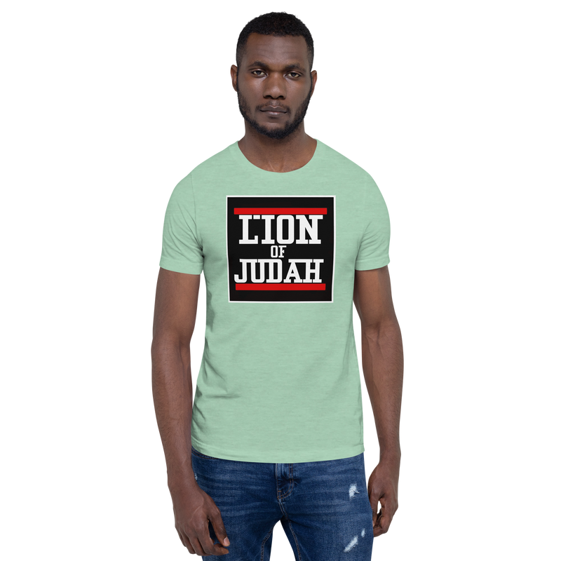 Lion Of Judah Design Unisex t-shirt
