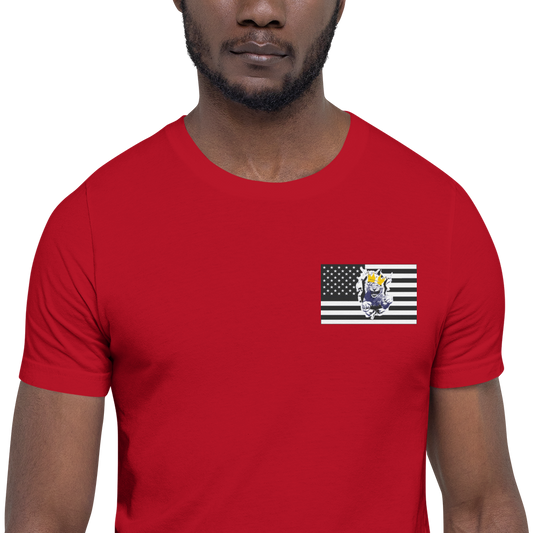 Melanated Lion Of Judah Flag Unisex t-shirt